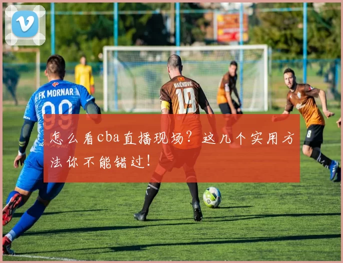 怎么看cba直播现场？这几个实用方法你不能错过！