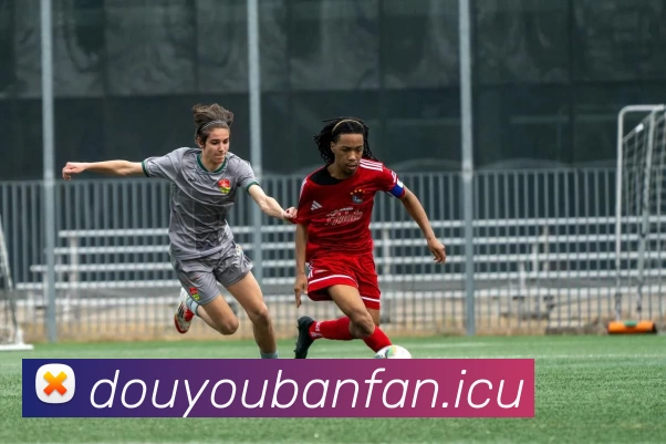 九游·体育 - 九游sports(中国)平台生态图